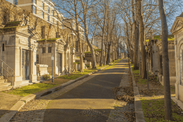 Une allée du cimetière
